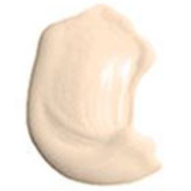 Beyond Perfecting Powder Foundation + Concealer