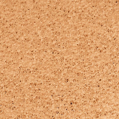 Cushion Foundation