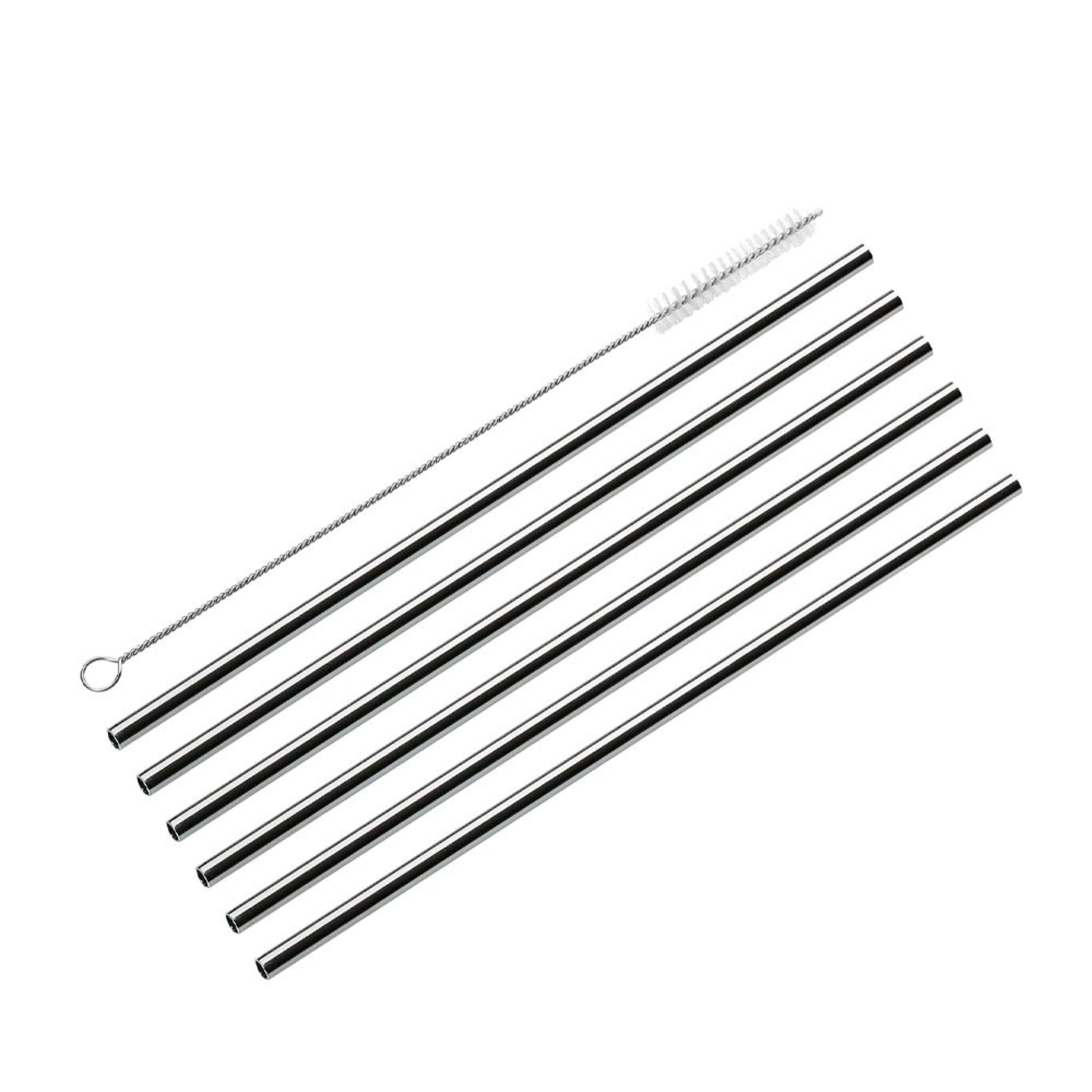 Sugrör Rostrfritt stål 6-pack