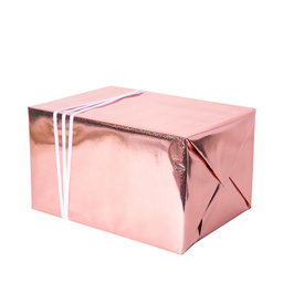 Presentpapper Hologram 4 m