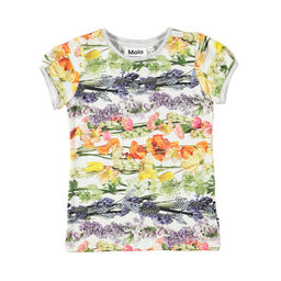 ahlens - CONDITION 379.00