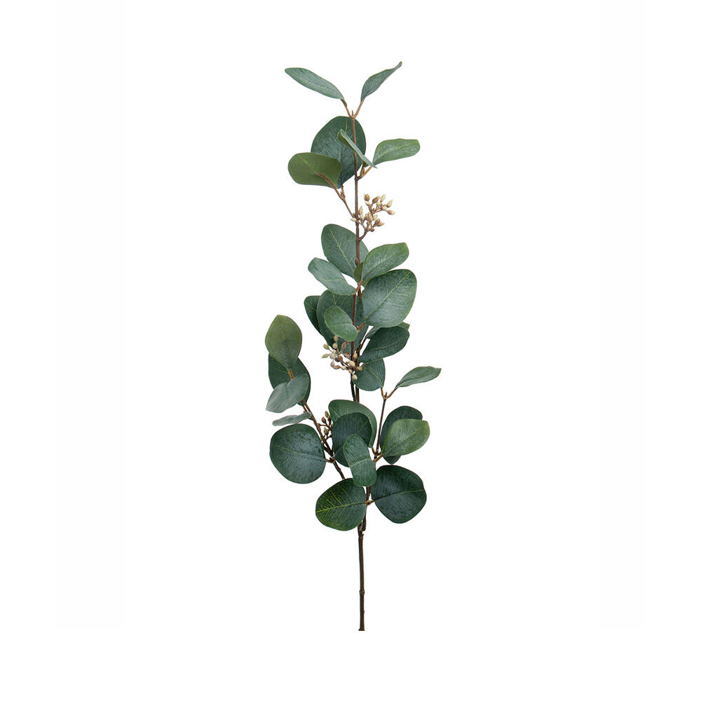 Konstväxt Eucalyptus med bär 70 cm