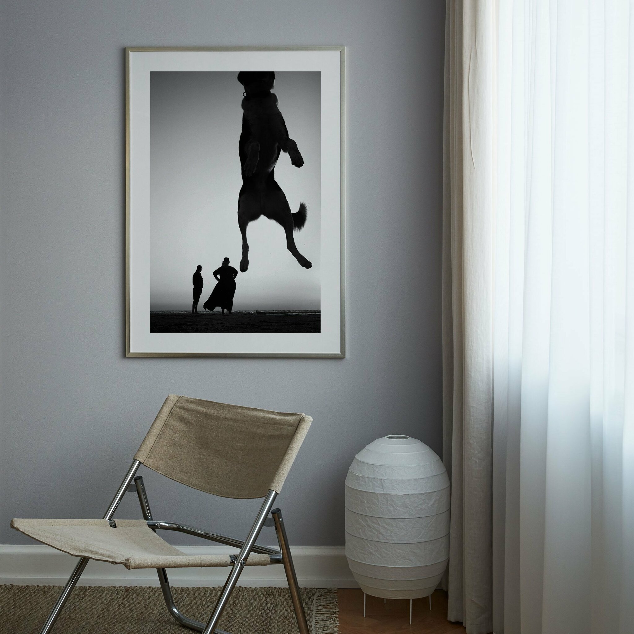 Poster Mystisk Hund På Stranden, 50x70 cm