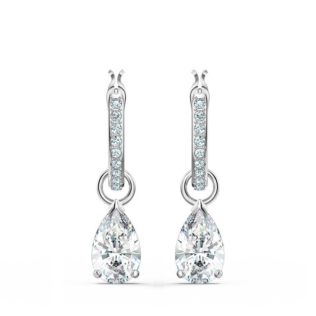Attract Earrings