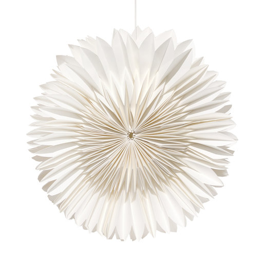 Julstjärna, Select , vit